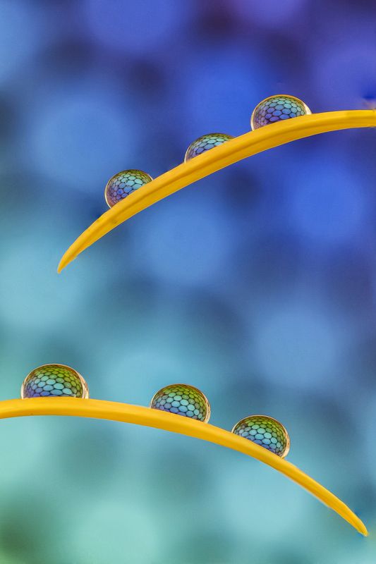 water, drops, LITTLE SYMPHONY XI фото превью