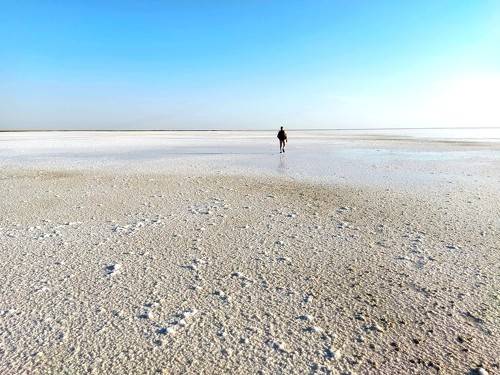 Walk on the Moon