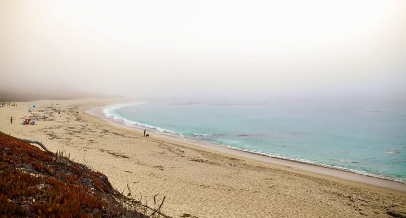 carmel-by-the-sea, california Туман фото превью