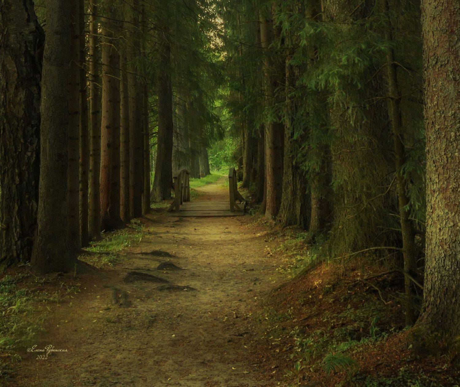 щелыково, кострома, костромская область, Елена Рубинская