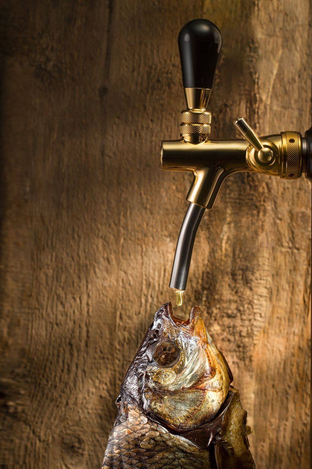 , Игорь Железняк