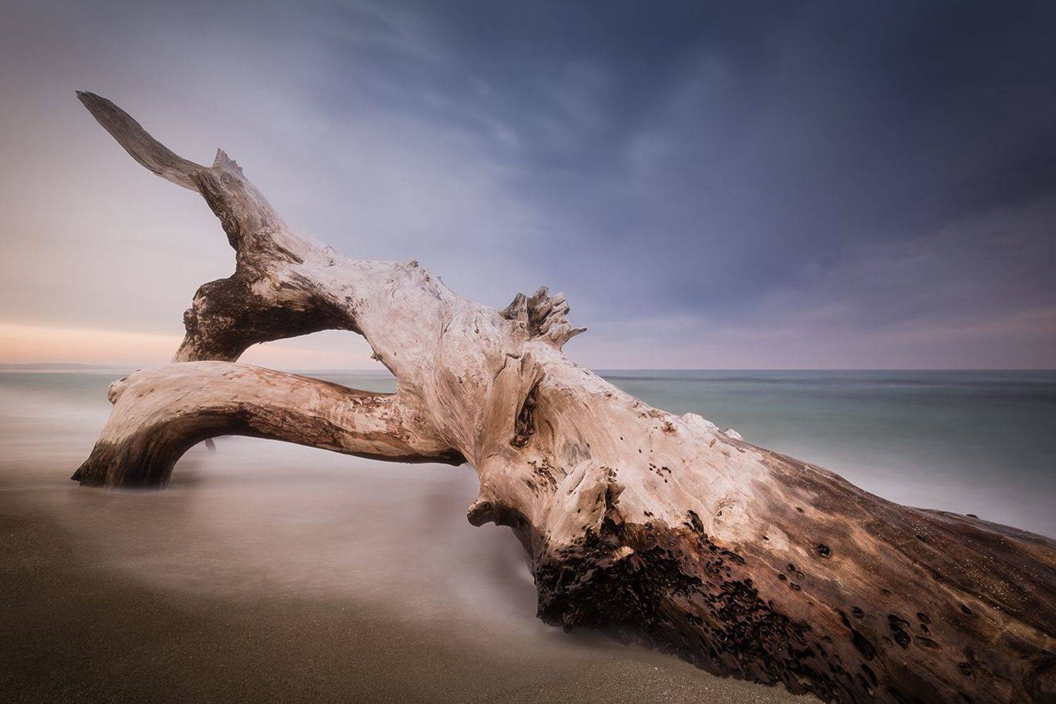 explore, bulgaria, Borislav Kostov