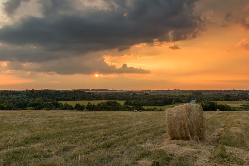 пейзаж, степь, дождь, лето, июнь, landscape, summer, steppe It\'s raining june фото превью