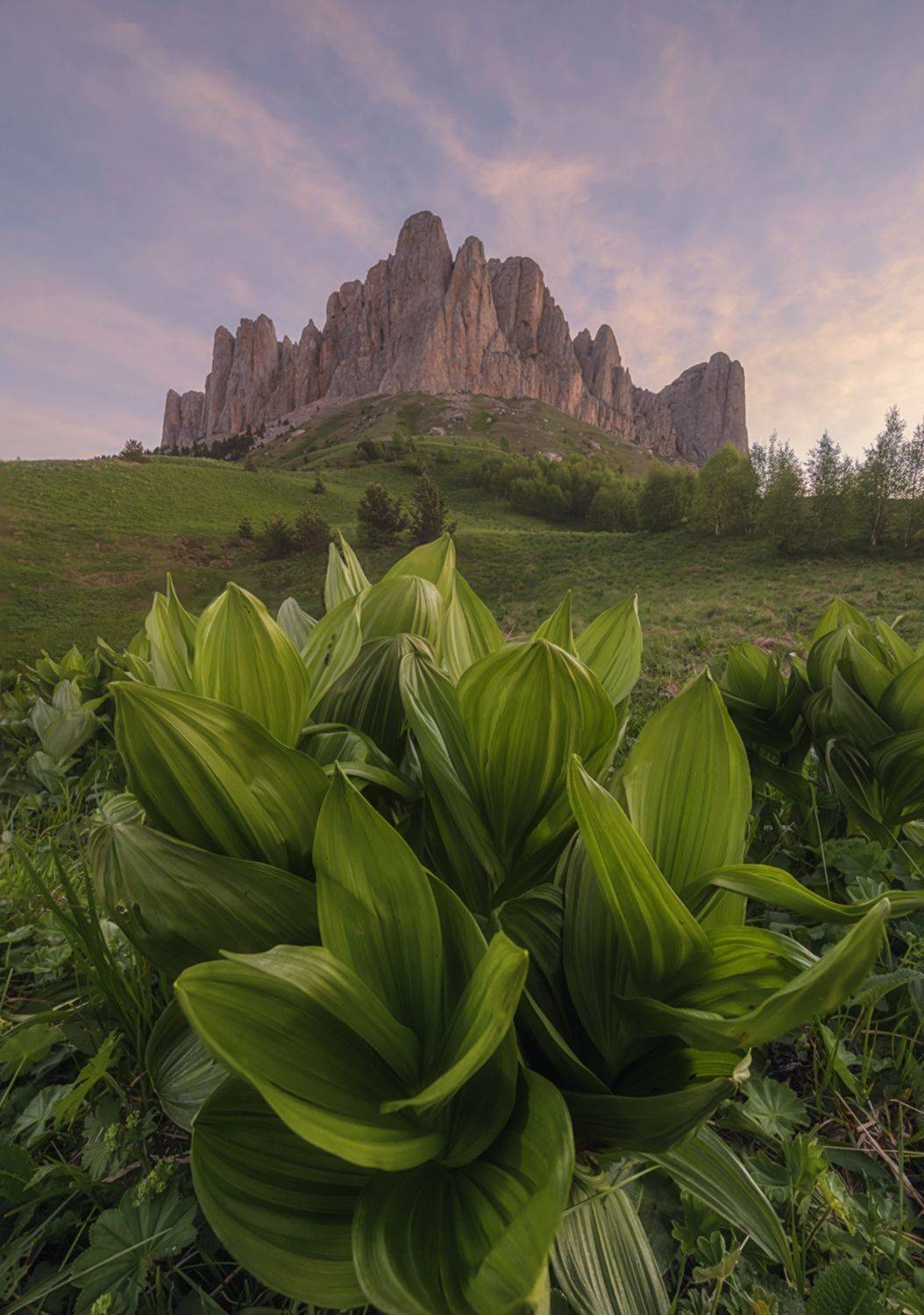 западный кавказ, большой тхач, лето, июнь, рассвет, Мысливцев Николай