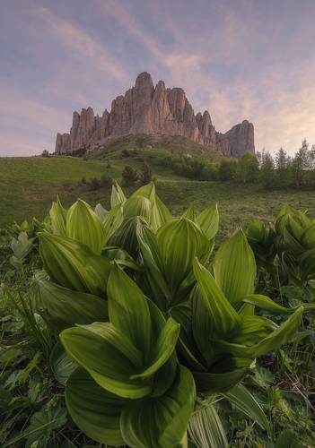 У подножия Большого Тхача