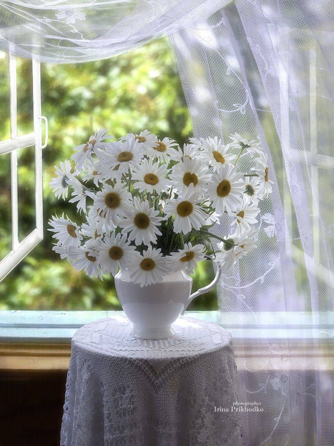 натюрморт, лето, ромашки, букеты, Приходько Ирина