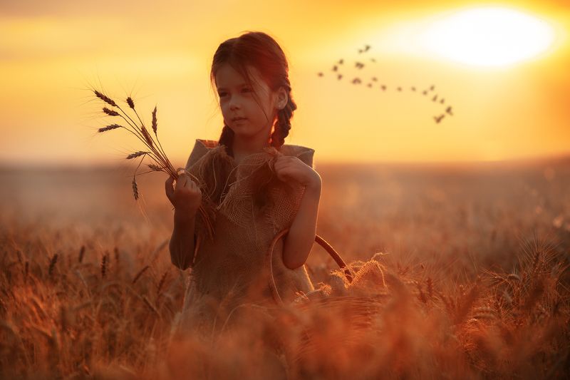 Wheat Field фото превью