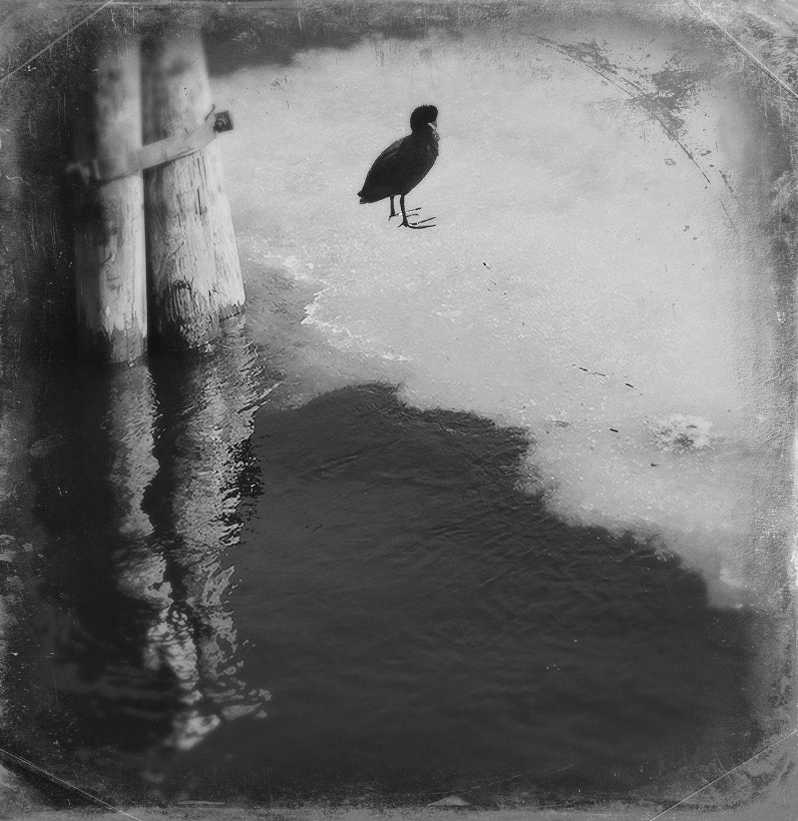 , T. Bondarenko