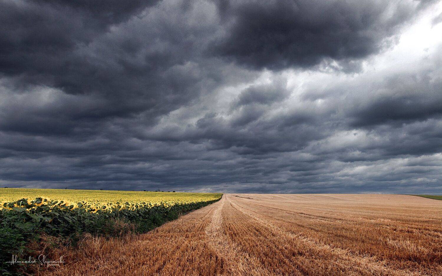 sky, Alexander Slepcowski