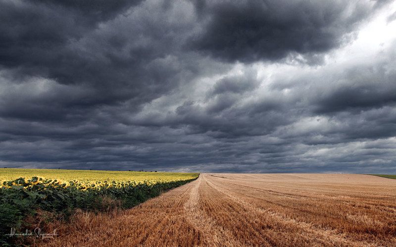 Between фото превью