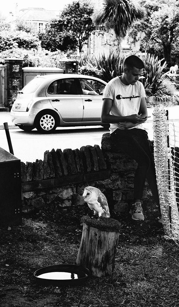 , Елена Лаврова