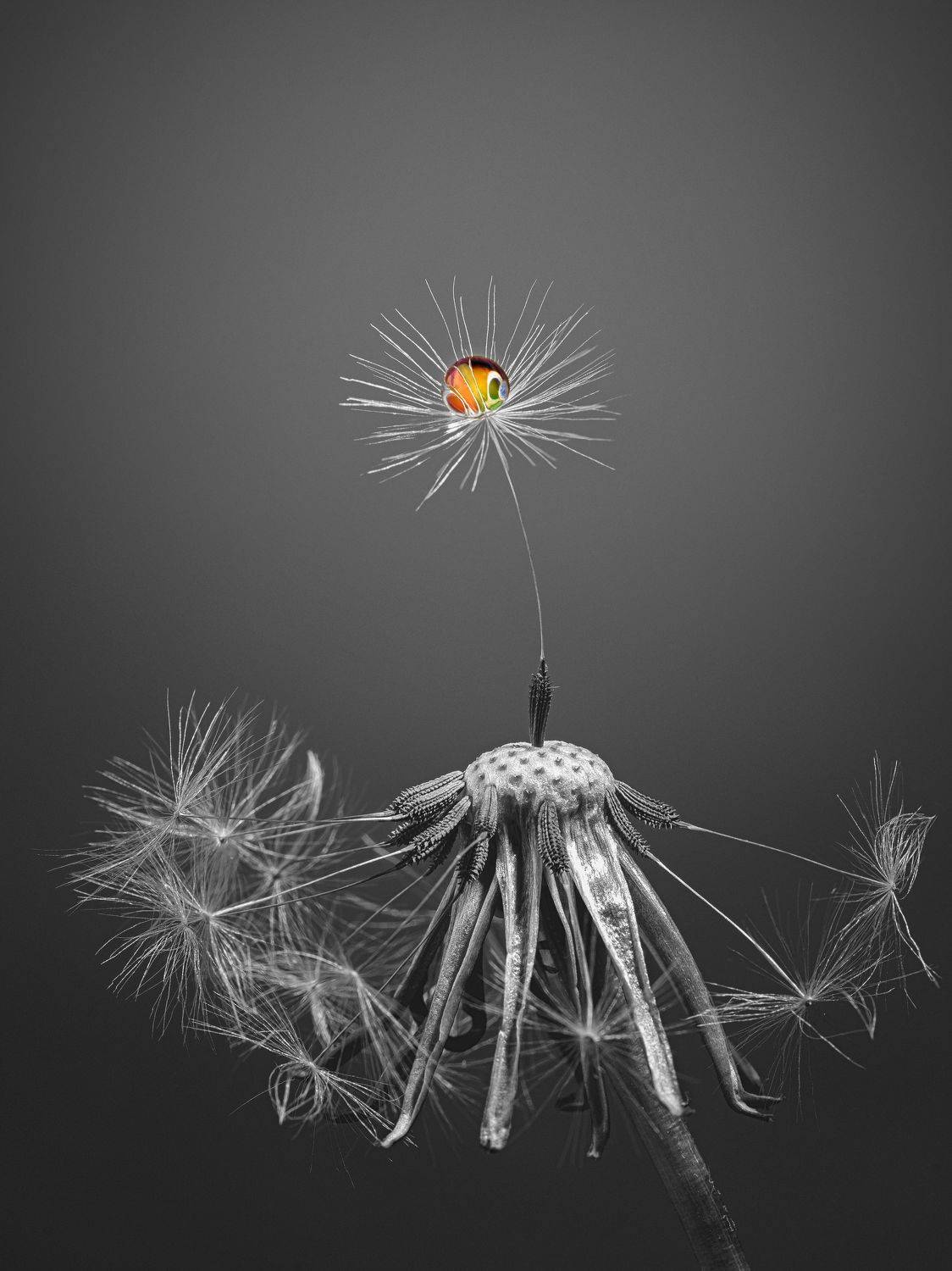 , Татьяна Гореславец