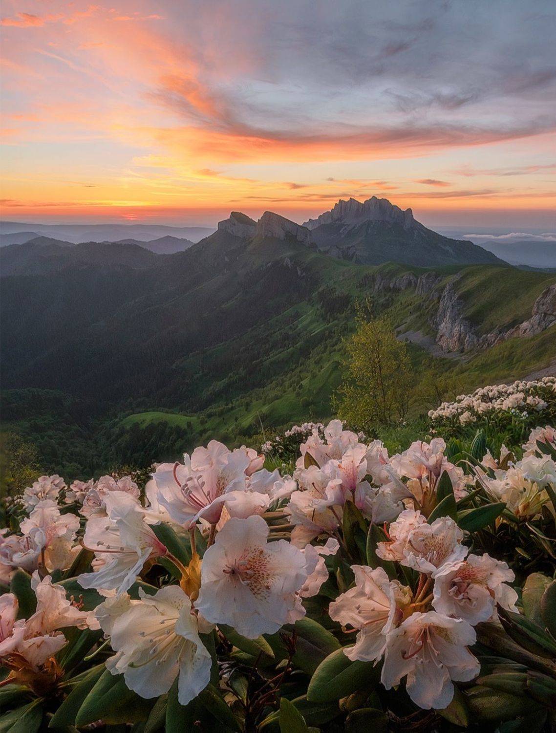 западный кавказ, большой тхач,  малый тхач, рододендроны, асбестная, закат, лето, Мысливцев Николай
