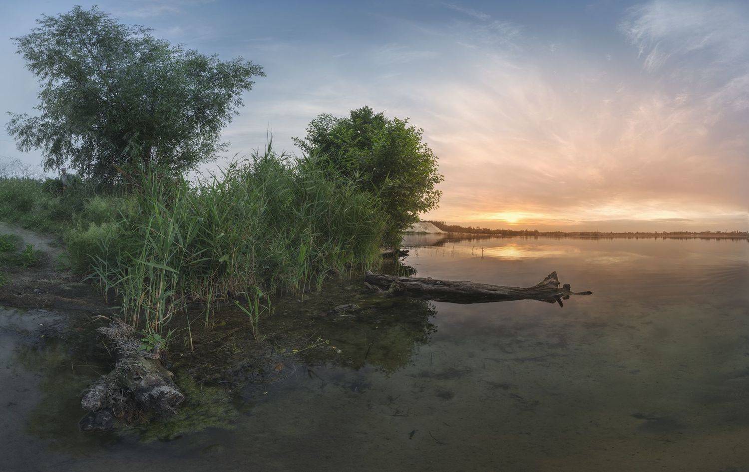 , Александр Дворичанский