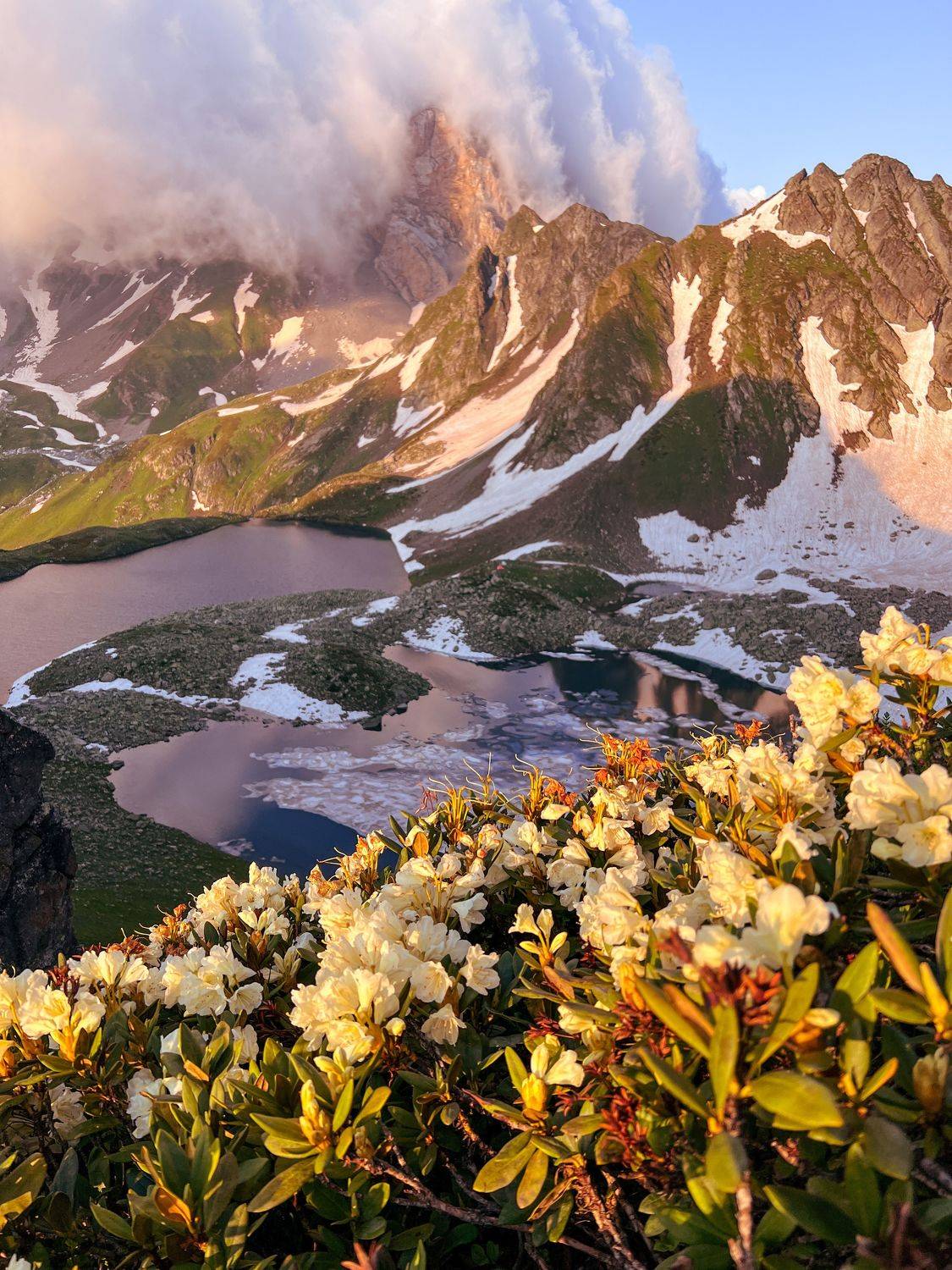 , Екатерина Коннова