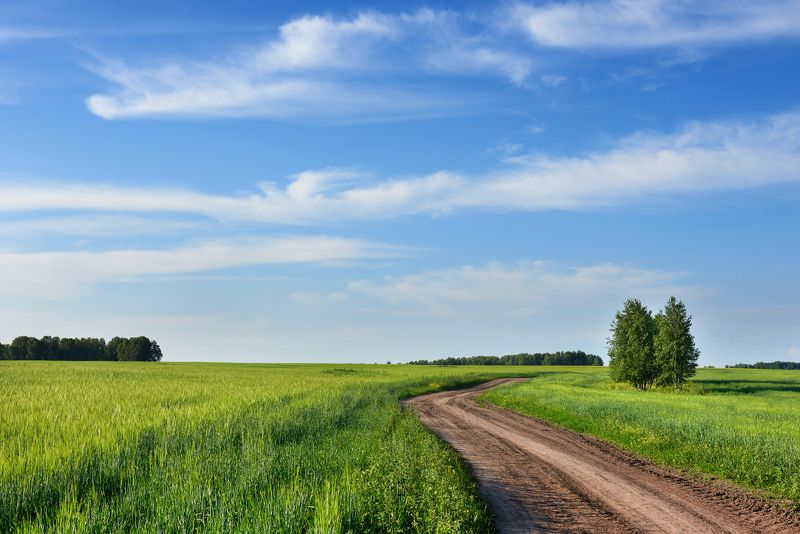 Дорога фото превью