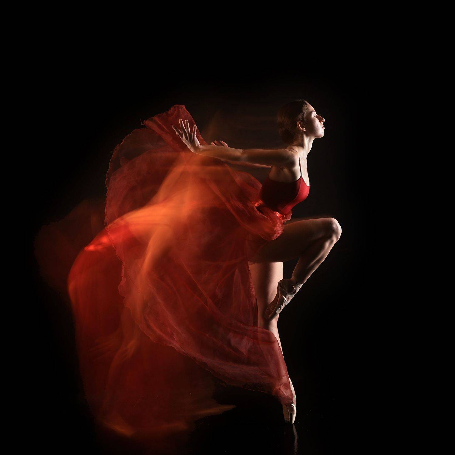 танец, балет,балерина,движение, девушка,женщина,dance,ballerina,woman,beauty,, Олег Грачёв