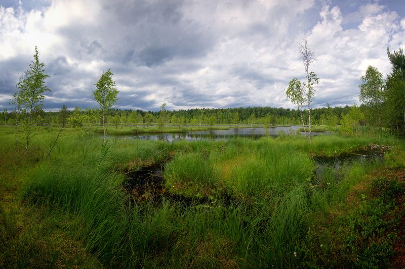 На озере фото превью