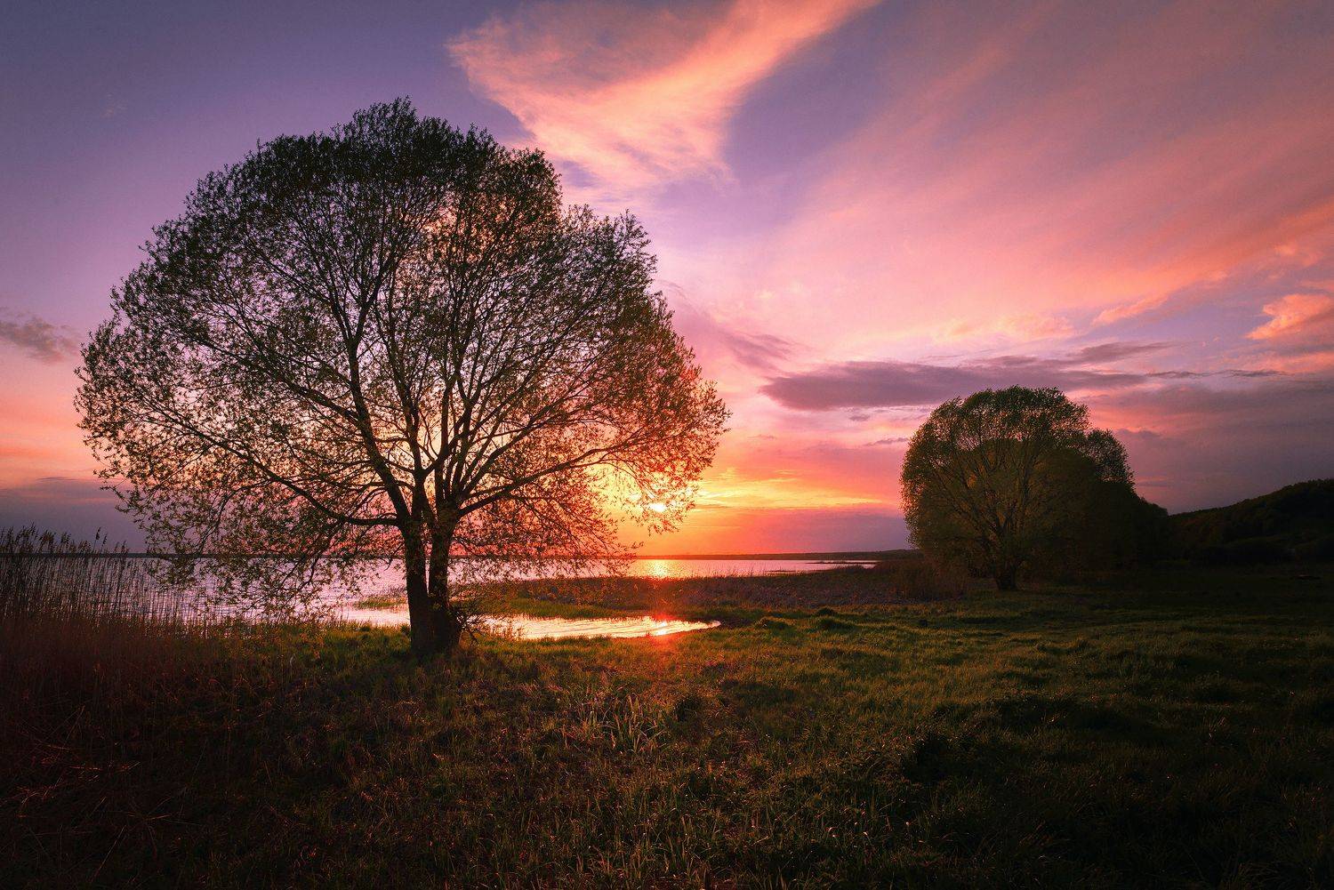 , Миндру Александр