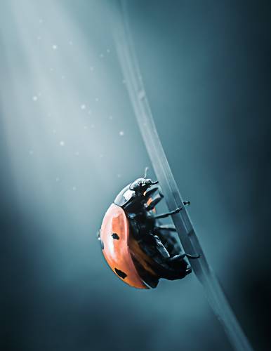 Под лучами света