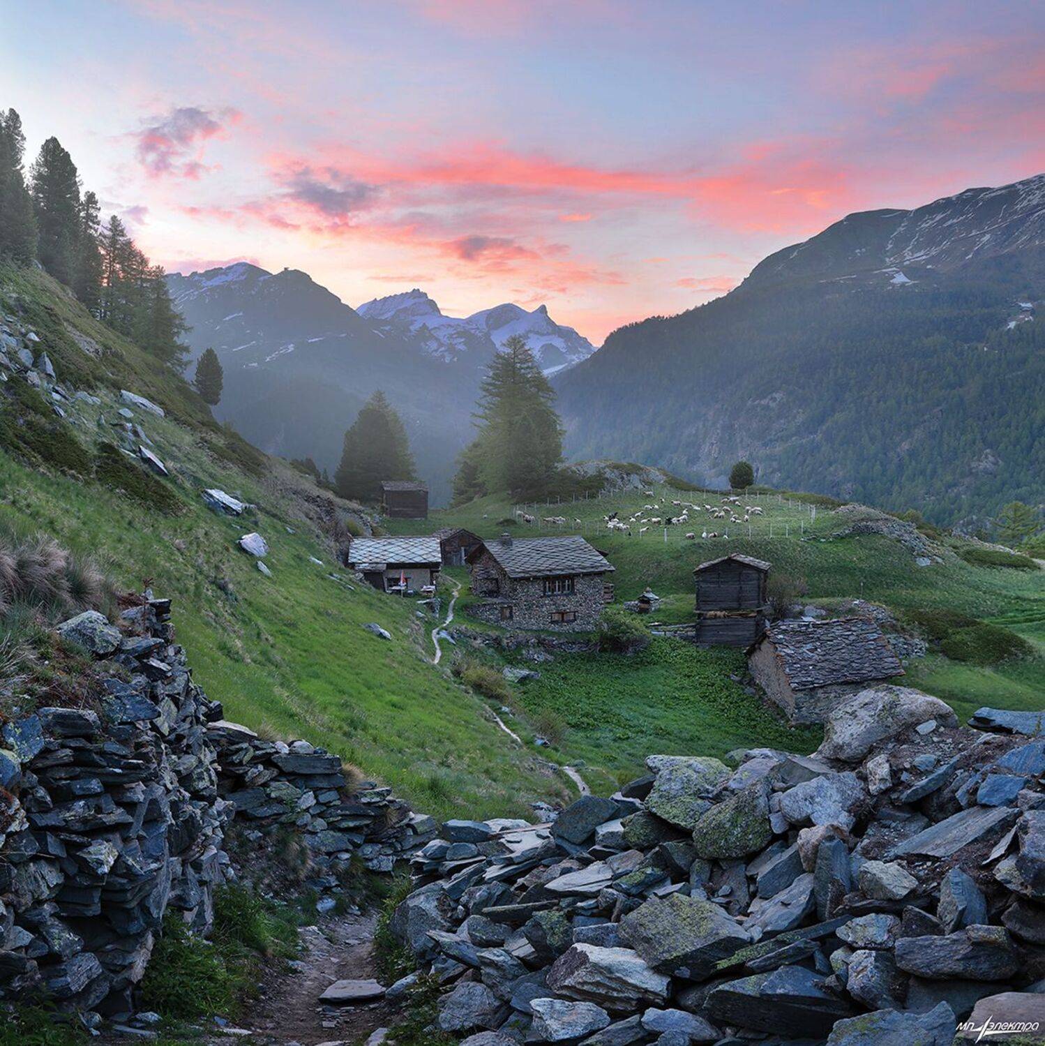 swiss, Матвеев Николай
