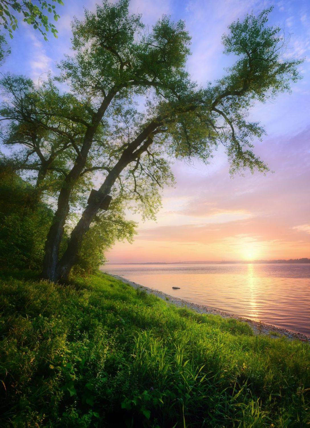 , Александр Тормосин