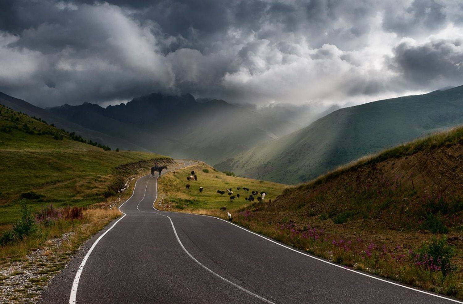 , Алиева Татьяна