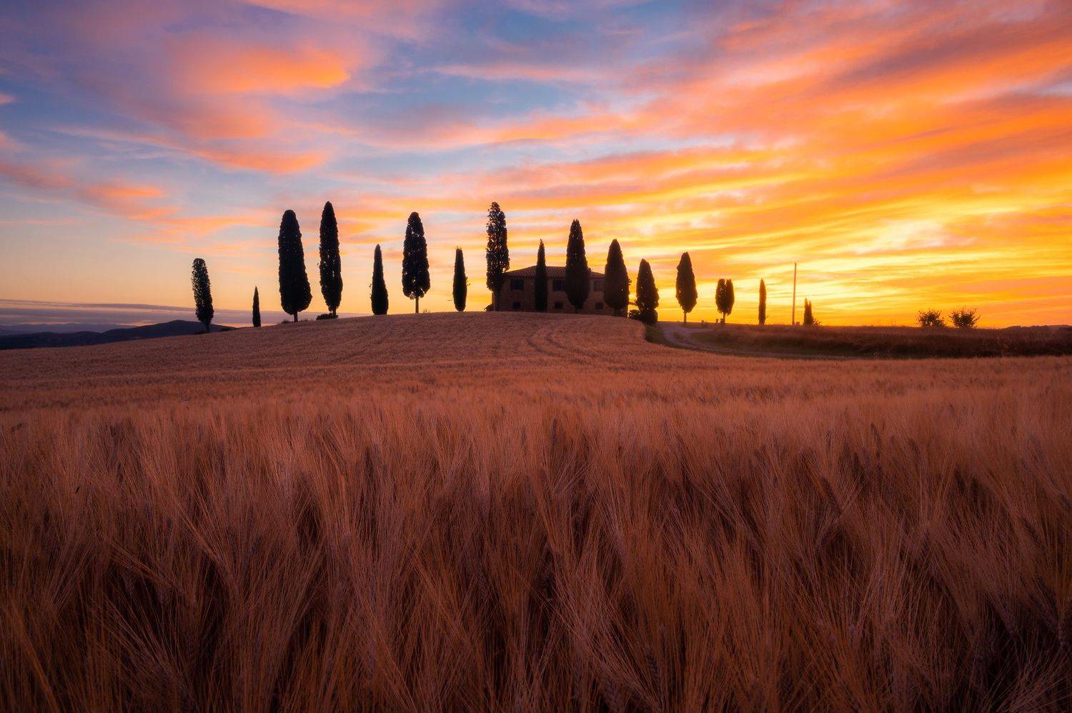 Landscape sunrise sunset tuscany val d'orcia italy color grain , Stefano Balma