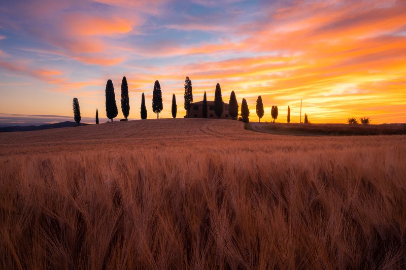 Landscape sunrise sunset tuscany val d\'orcia italy color grain  Stillness Touch фото превью
