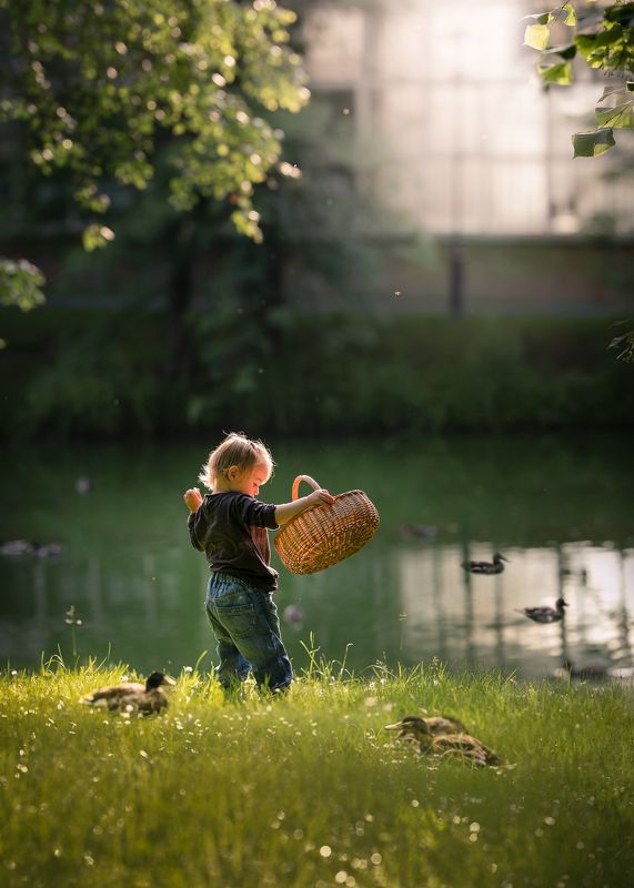 Feeding the ducks фото превью