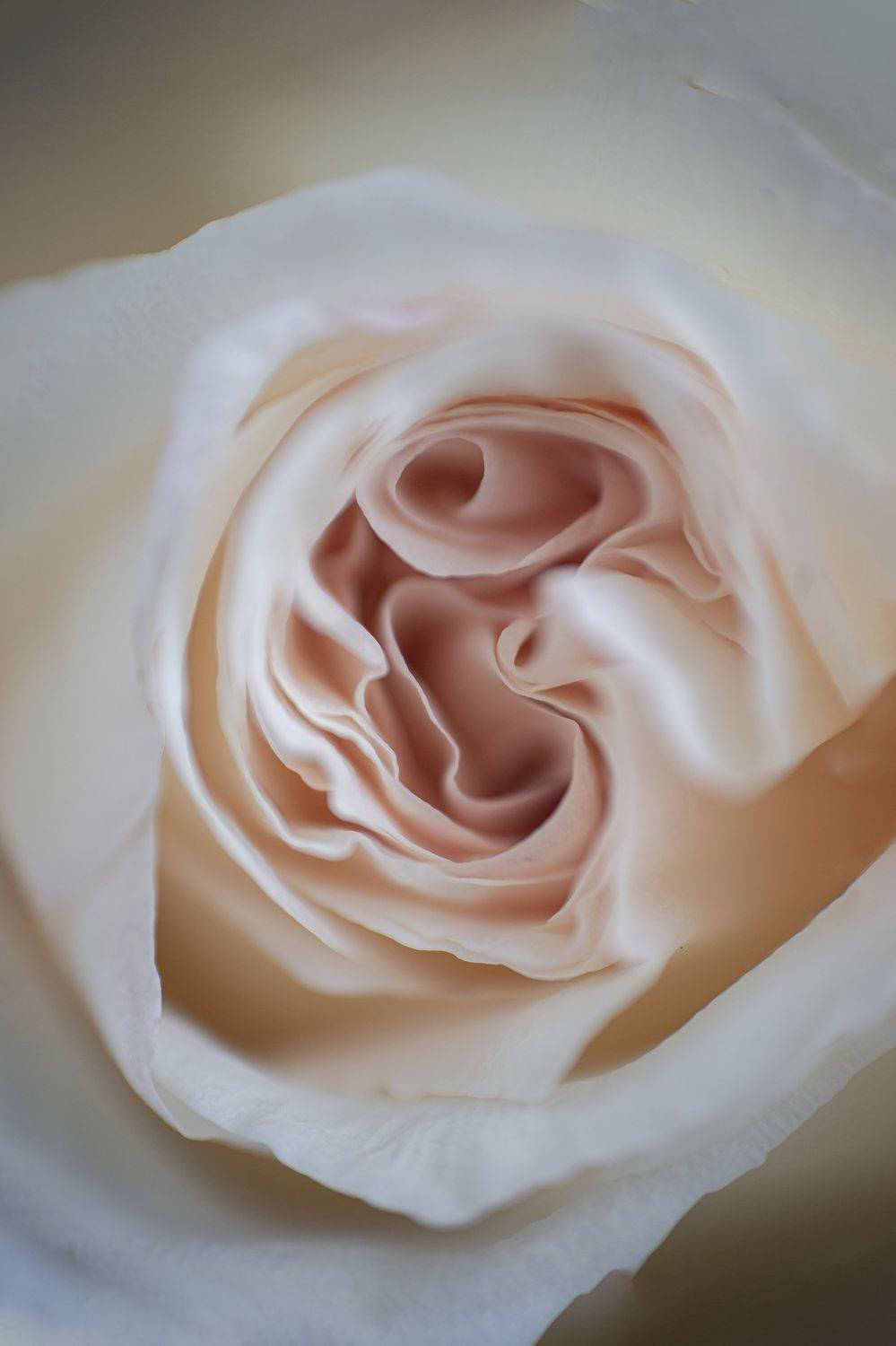 ,  Ксения Максименко