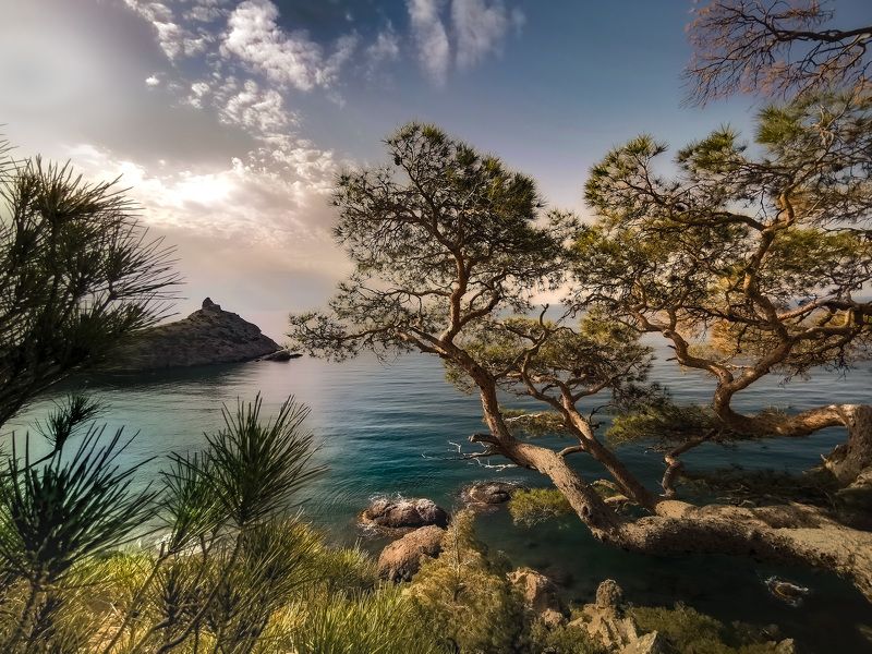 Сказка моря фото превью