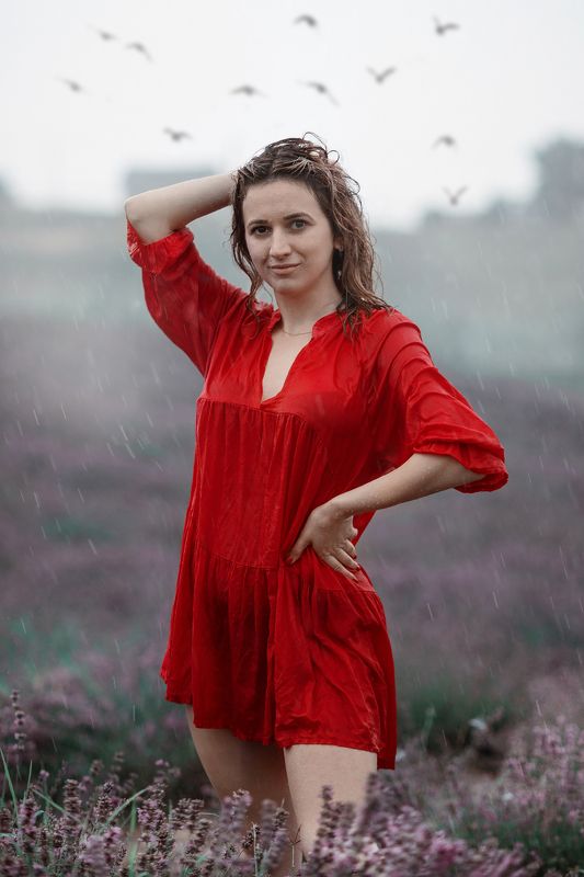 Rain  фото превью