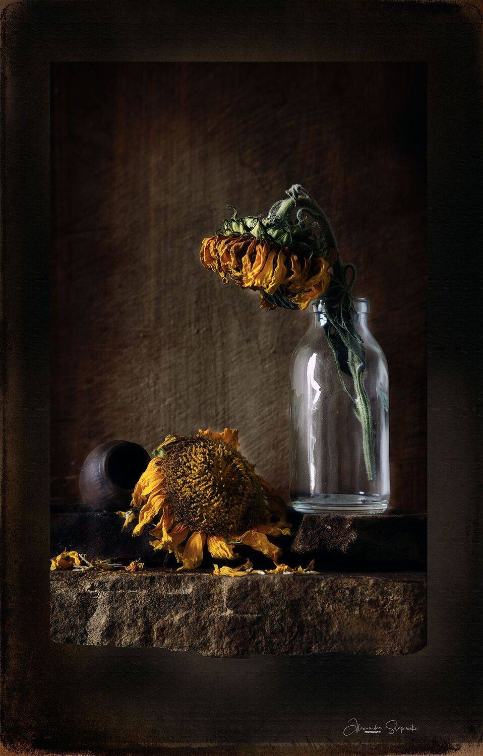 , Alexander Slepcowski