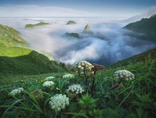 Остров Янкича.