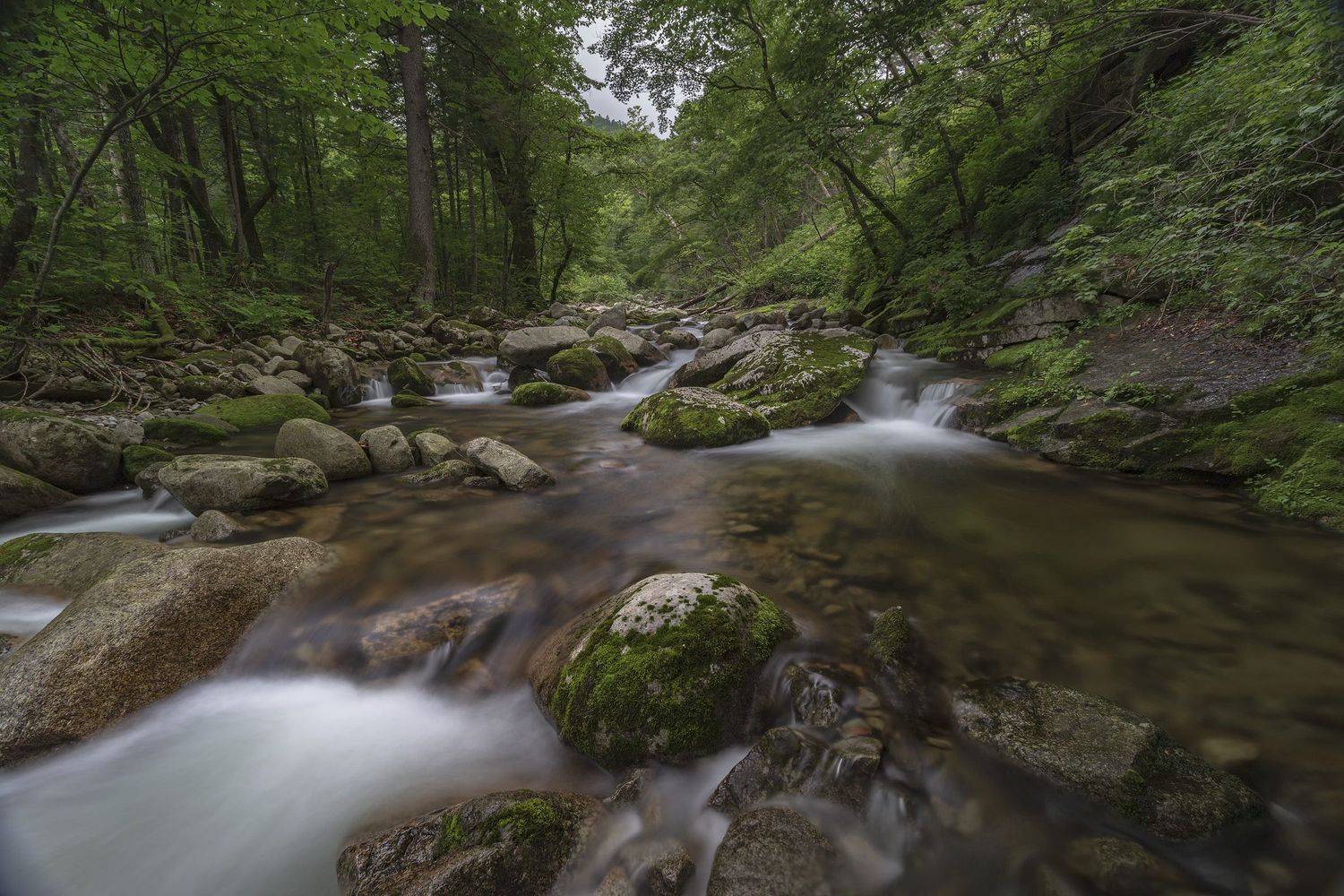 тайга, горы, река, ALEKSANDR KUZNETSOV