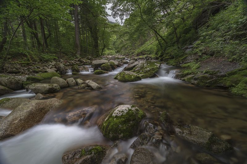 тайга, горы, река  фото превью