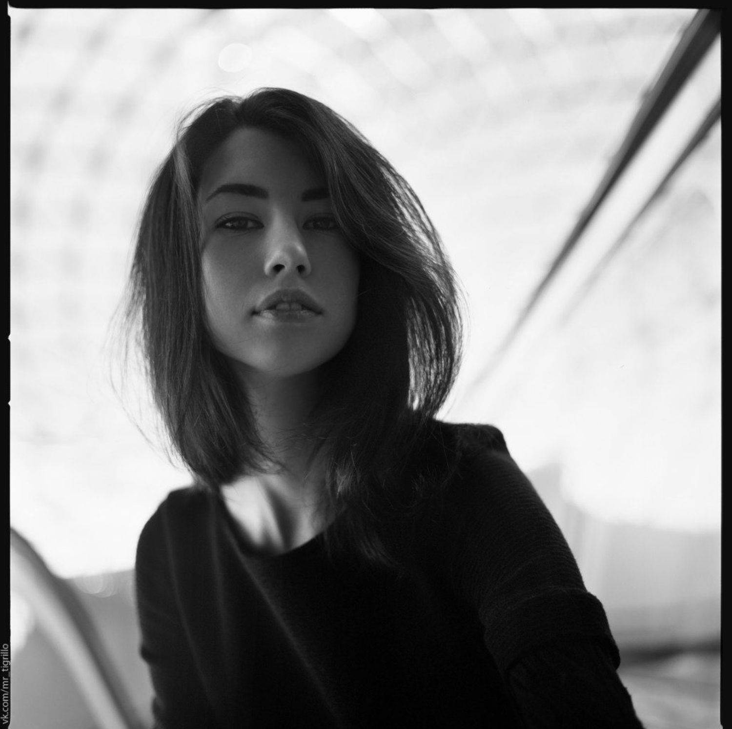 hasselblad2000fcw, planar, 80mm, пленка, аналог, средний, формат, 120мм, Мистер Тигрилло