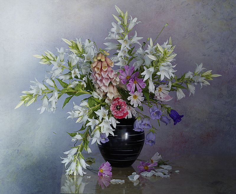 *** фото превью