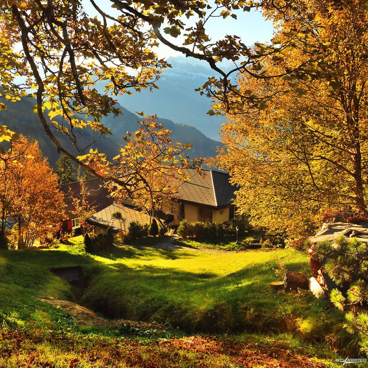 swiss, Матвеев Николай