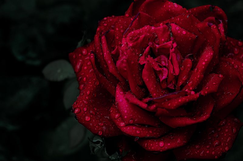 После дождя фото превью