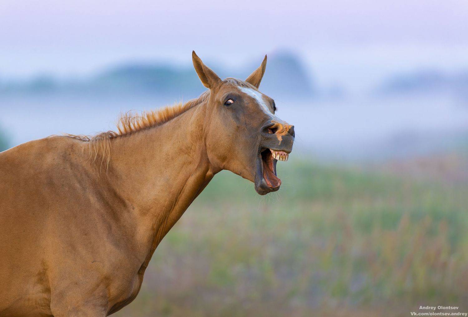 солнце, россия, рассвет, природа, подмосковье, погода, пейзажи, пейзаж, отражение, наукоград, красота, дубна, вода, весна, weather, water, spring, russia, reflection, naukograd, nature, moscow, landscape, dawn, canon, dubna, beauty, Олонцев Андрей