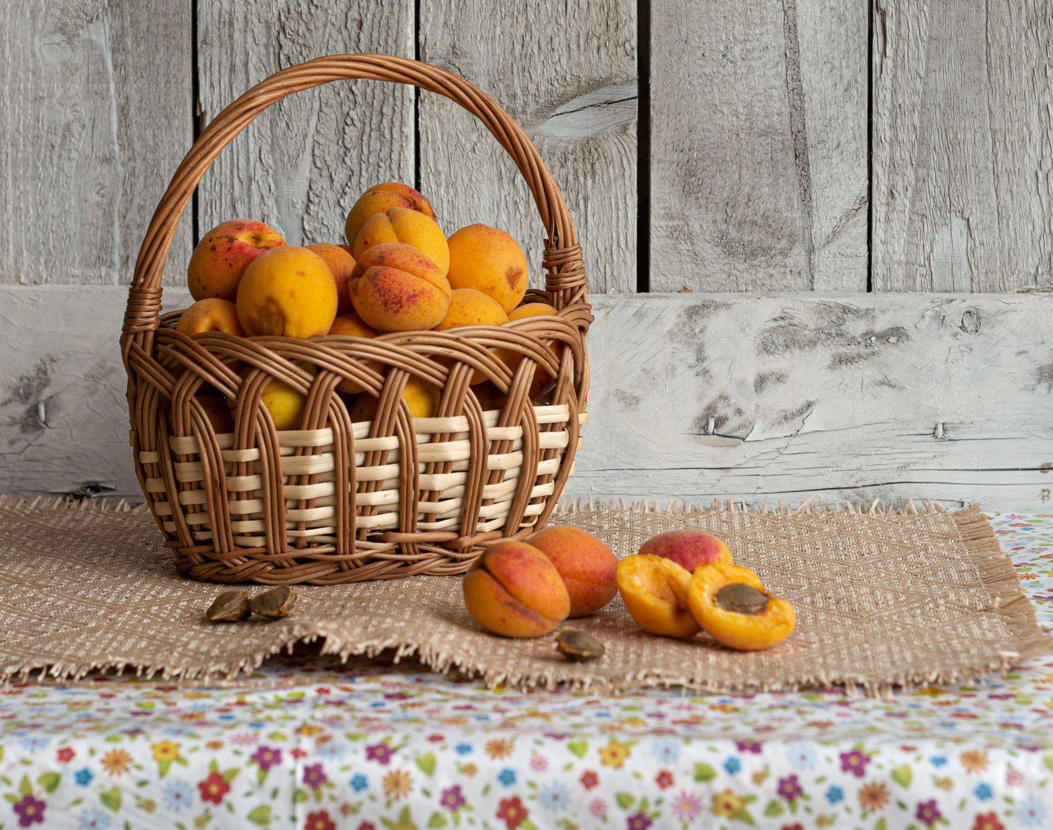 мак, цветы, флора, растения, природа, Елена Плотникова