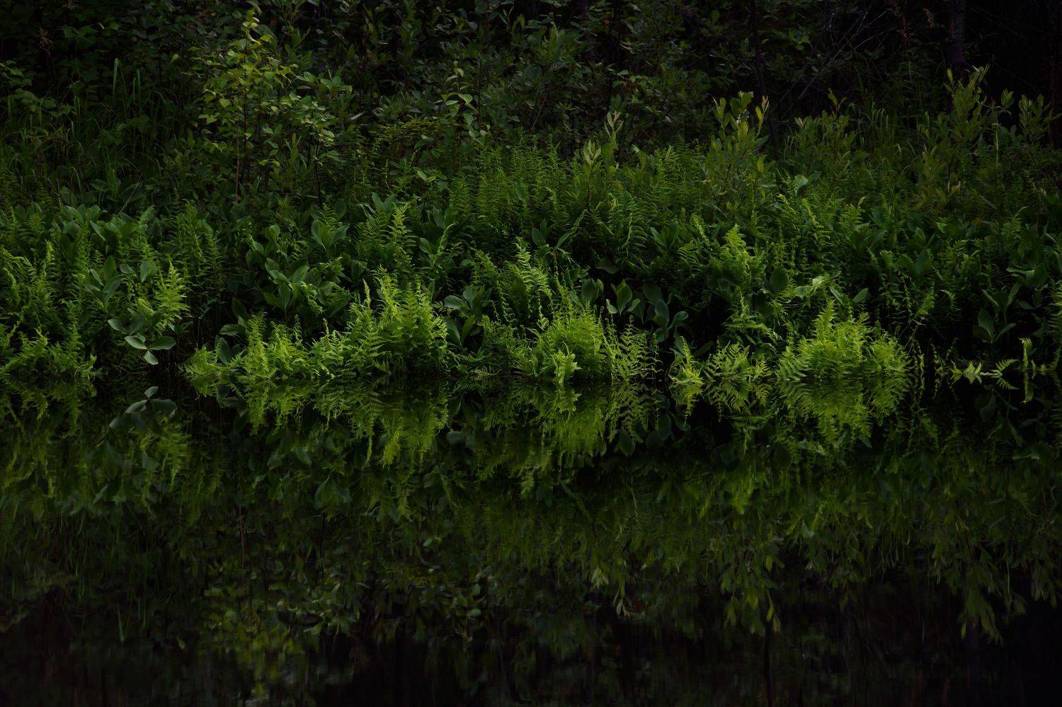 , Григорий Пиль