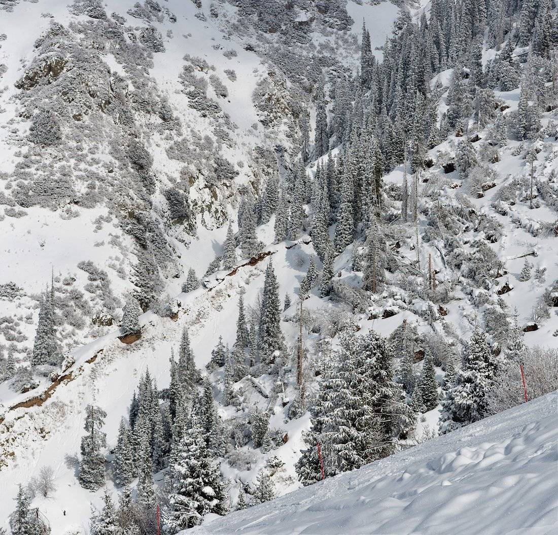 , Сергей Седов