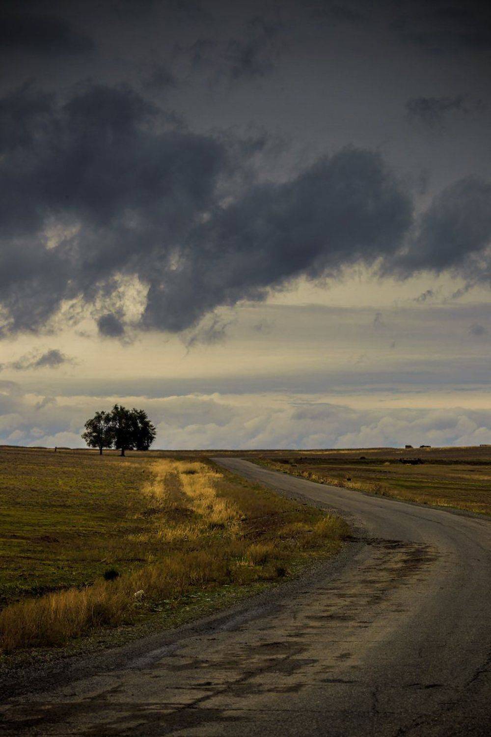 Aynabulak, Clouds, Kazakhstan, Road, Айнабулак, Просёлочная дорога, Михаил Попов