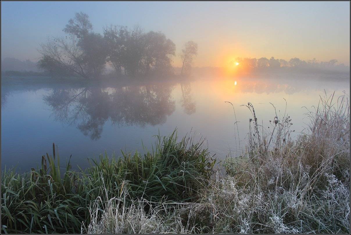 , Михаил (mgk)