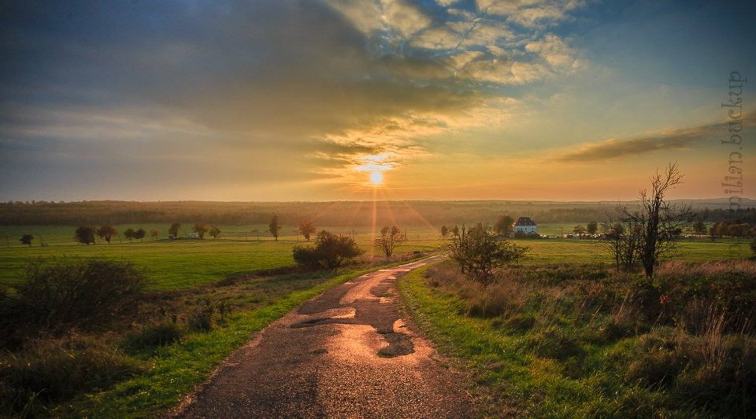 , Максимильян Букуп