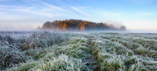Осеннее утро