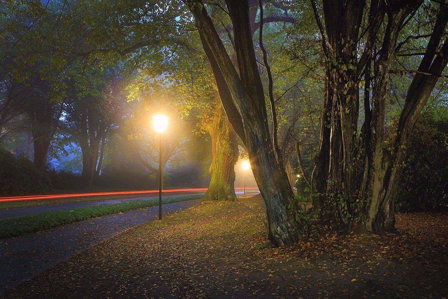 , Игорь Дубровский